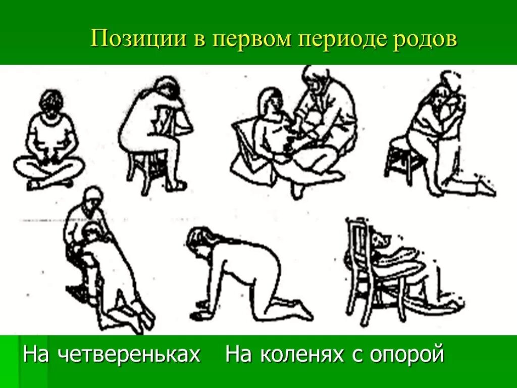 Первый в роду. Позиции в первом периоде родов. Позы в первом периоде родов. Положение роженицы в первом периоде.