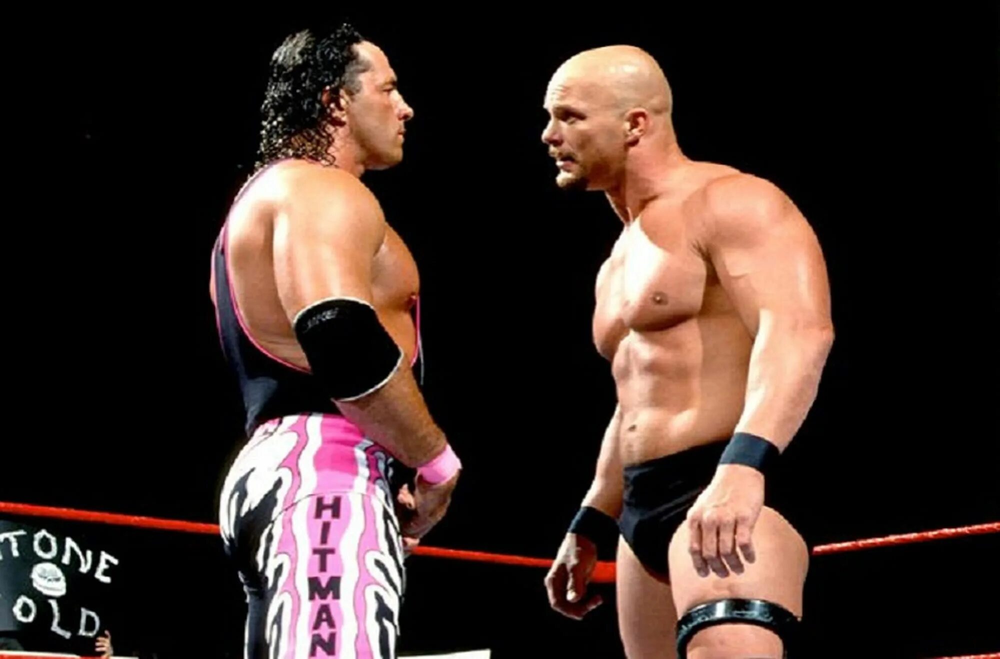 Stone vs. Bret Hart Stone Cold 13 WRESTLEMANIA. Bret Hart in your House 14. Bret Hart WWE 2k18.