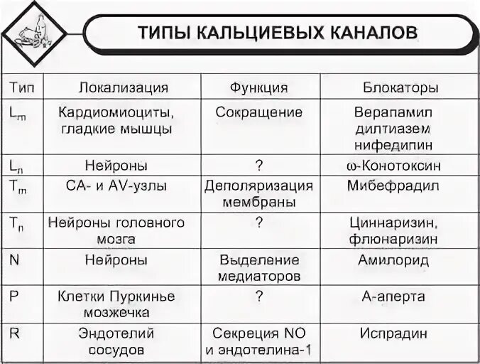 Виды l