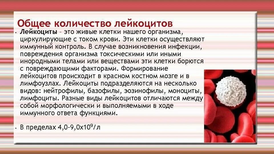 Повышенный уровень лейкоцитов в крови у мужчин