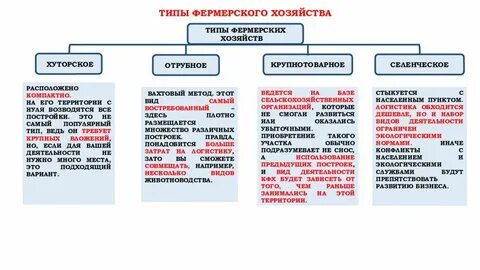 Виды хозяйств деятельности