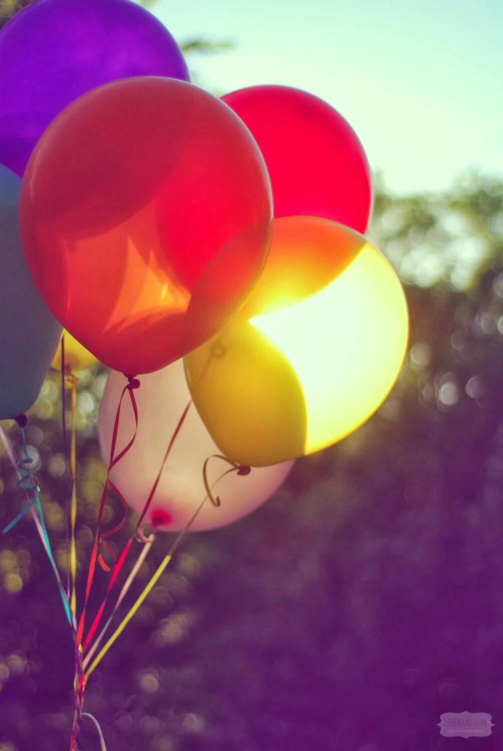 Красивые картинки с шариками. Воздушные шары. Воздушный шарик. Яркие шары. Яркие воздушные шары.