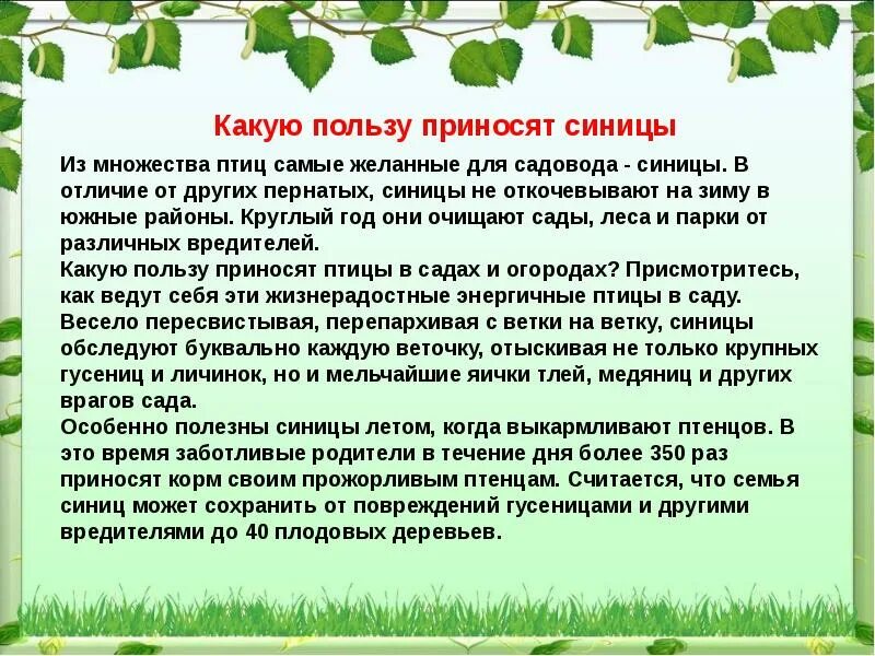 Чем полезна работа садовника обществу 4 класс. Какую пользу приносят птицы. Какую пользу приносят пользу. Какую пользу приносят птицы человеку. Какую пользу для нас приносят птицы.