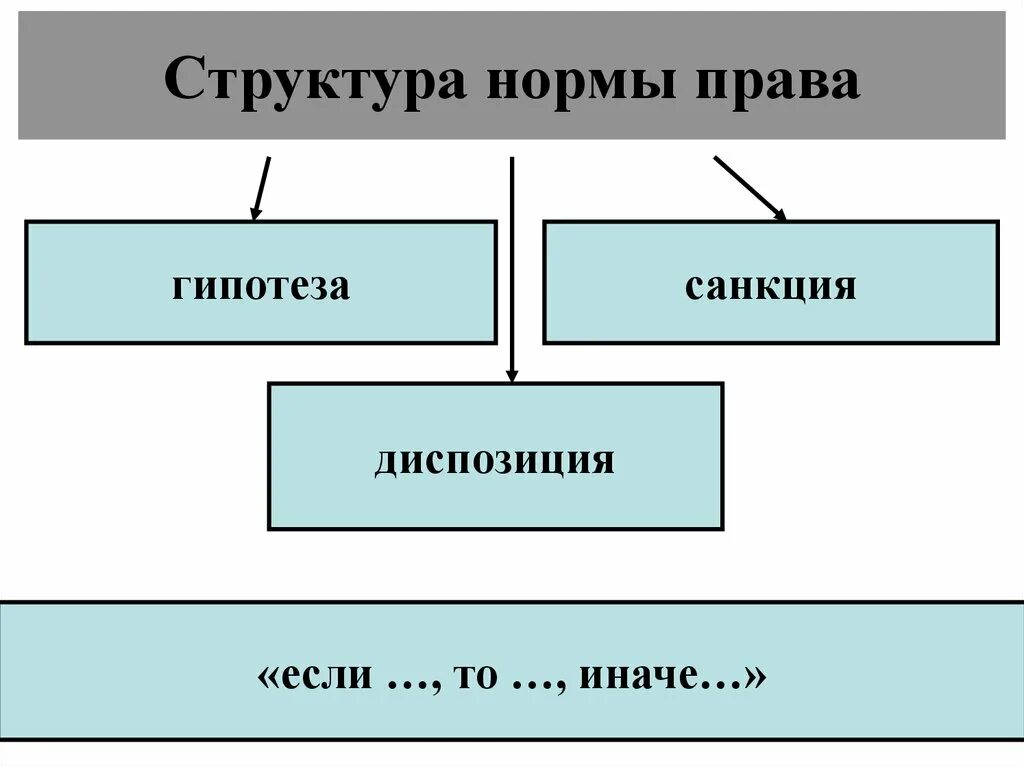 Структура правовой нормы схема.