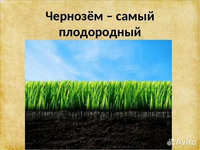 Почвы россии 4 класс 21 век презентация. Чернозем почва. Что такое почва 4 класс. Чернозем презентация. Макет чернозема.