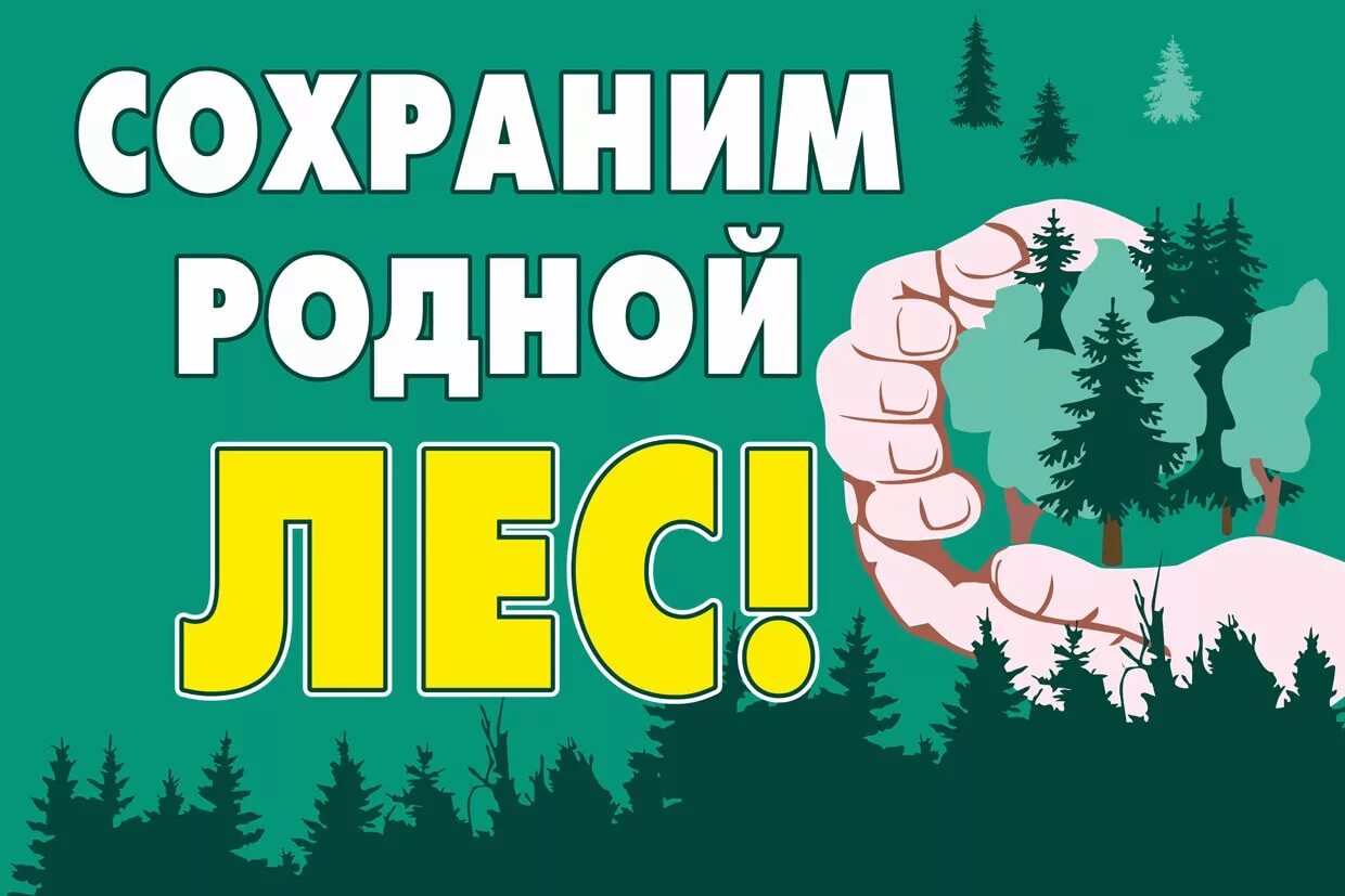 Сохрани новый. Сохраним лес. Сбережем лес. Берегите лес от вырубки. Сохраним родной лес.