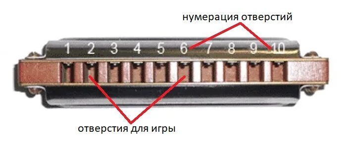 Рдр губная гармошка. Губная гармошка цилиндр. Губная гармошка sw20 раскладка. Губная гармошка строение. Гармошка губная размер в мм чертёж.