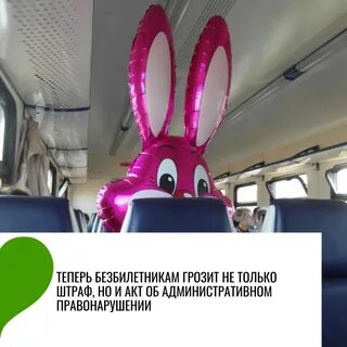 Безбилетный проезд на транспорте