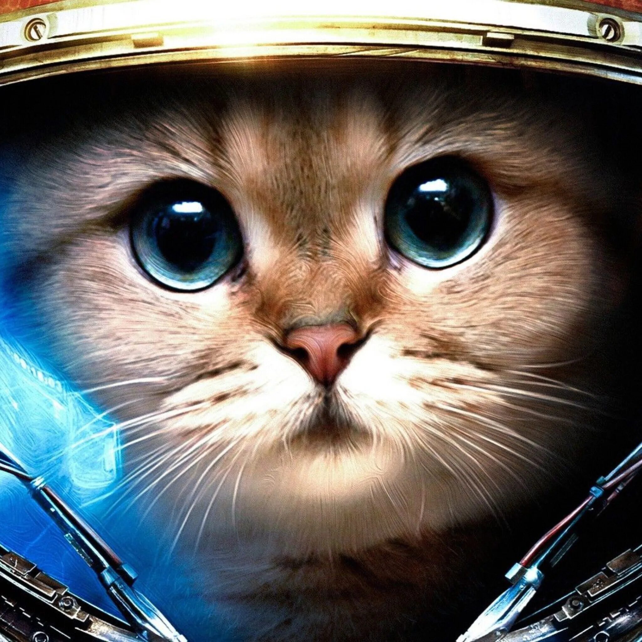 Кот космонавт. Аватарка. Кот в скафандре. Аватарка кот.