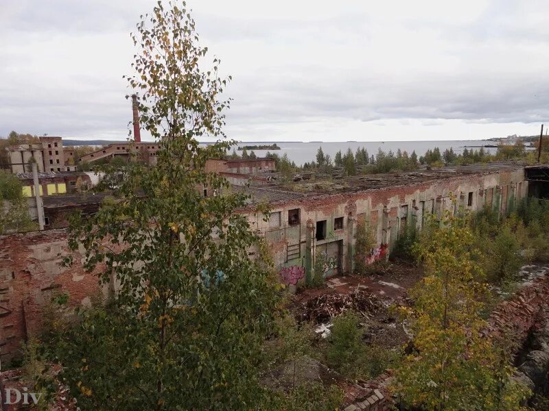 Дск зайцева петрозаводск. Домостроительный комбинат петрозаводск на карте. Домостроительный комбинат заозерная заброшка. Петрозаводский комбинат славмо. Заброшенный домостроительный комбинат г.