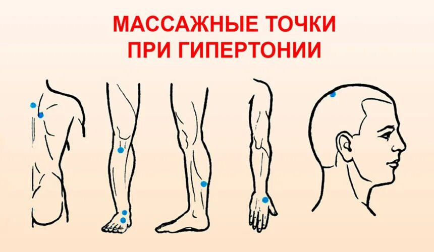 На какие точки нажимать чтобы снизить давление. Точки акупунктуры для понижения артериального давления. точки для снижения артериального давления на руке. точки акупрессуры для снижения давления. активные точки для снижения артериального давления.