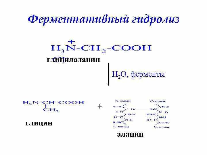 Щелочной гидролиз белков. Реакция гидролиза глицилаланина. Щелочной гидролиз глицина. Глицилаланин гидролиз. Глицин аланин гидролиз.