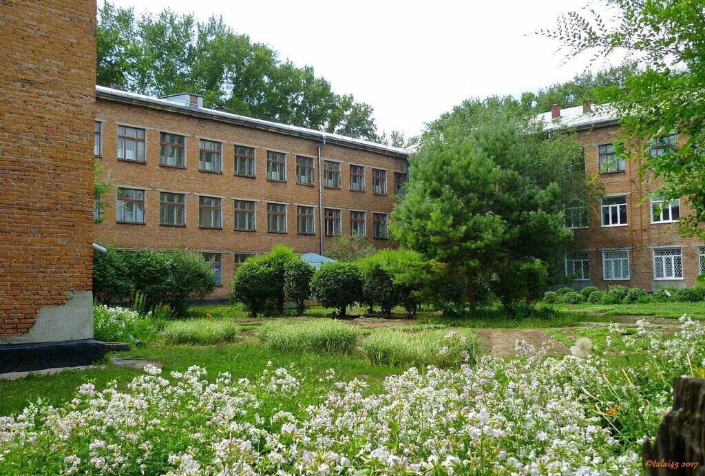 лицей эрудит город рубцовск. гимн лицея эрудит. примеры заданий эрудит лицей новомосковск. лицей эрудит рубцовск. лицей 24 город рубцовск.