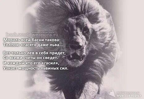 Такова раз 4