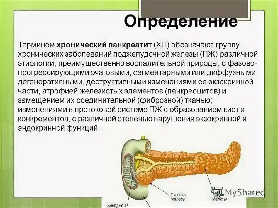 Что такое диффузные изменения поджелудочной. Что такое диффузные изменения поджелудочной