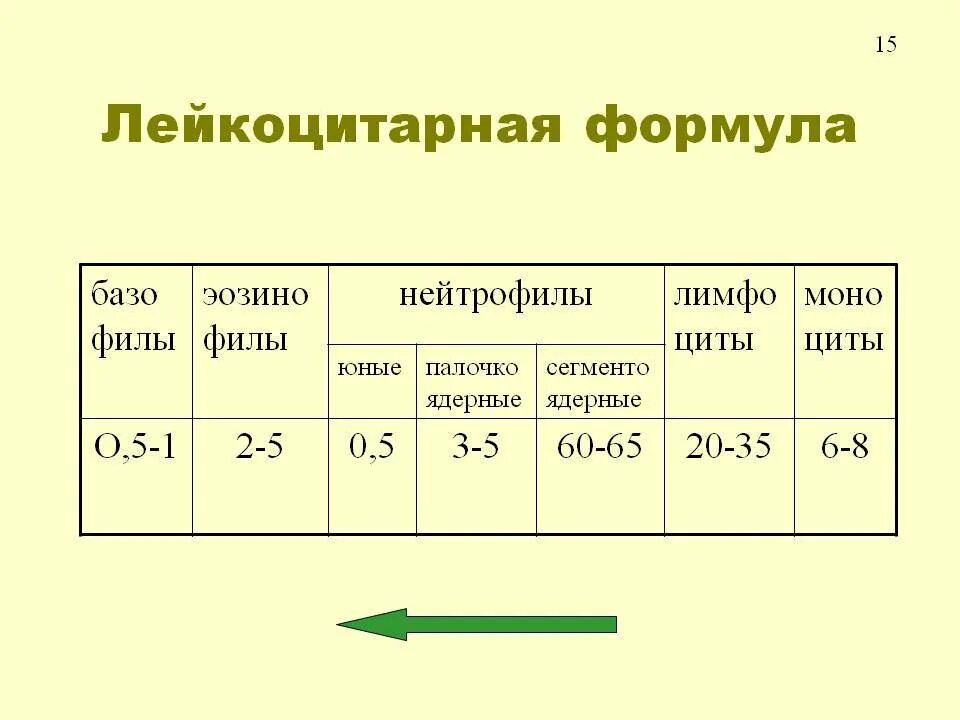 Количество лейкоцитов в крови у мужчин. Показатели крови норма лейкоцитарная формула. Лейкоцитарная формула показатели расшифровка. Лейкоцитарная формула здорового человека таблица. Нормы клеток и лейкоцитарная формула.