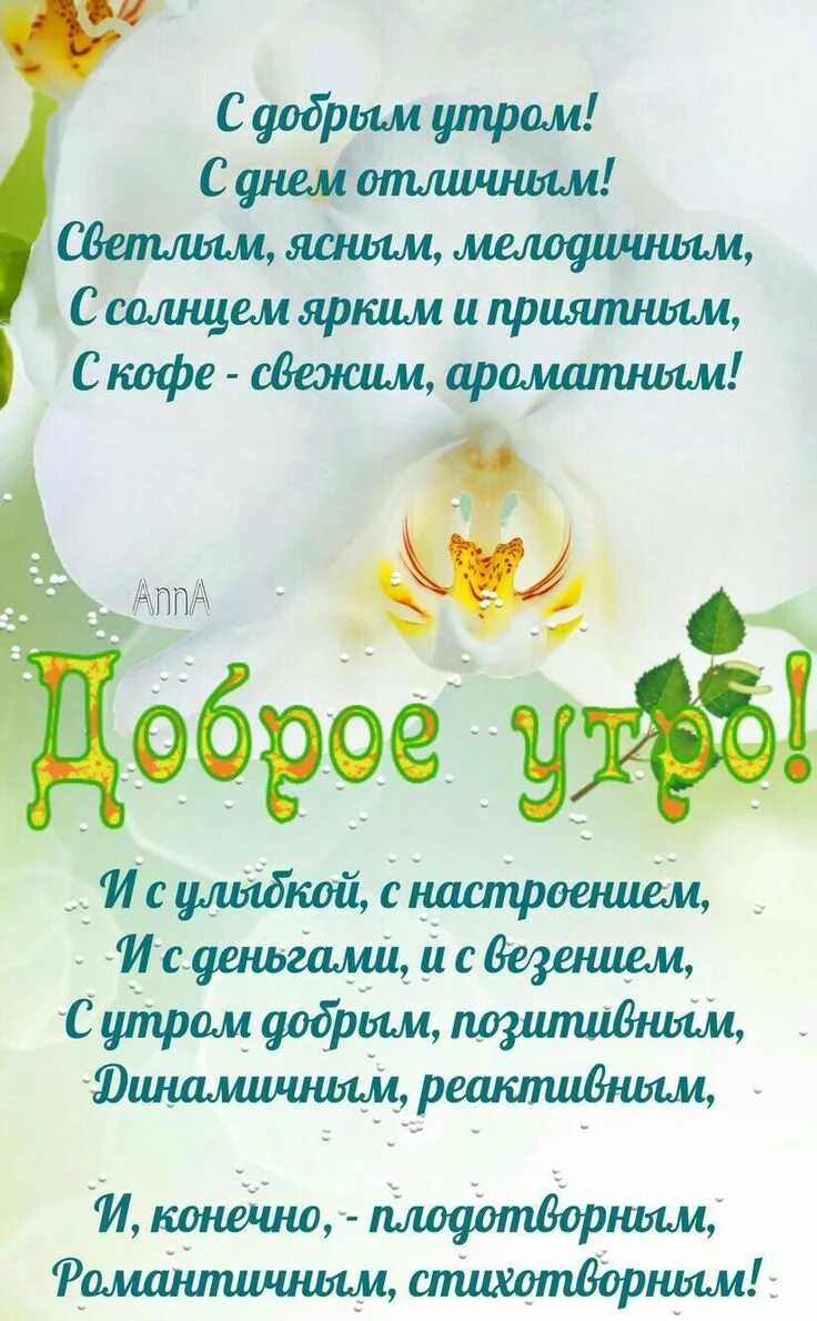 Светлого ясного утра. С утром добрым светлым ясным днем. Доброго ясного светлого утра. С ясным утром.