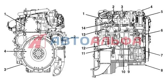 Момент затяжки cummins 2 и 8. Схема двигателя cummins isf 2.8. cummins 2.8 устройство. двигатель cummins 3.8 схема. cummins isf 2.8 чертеж.