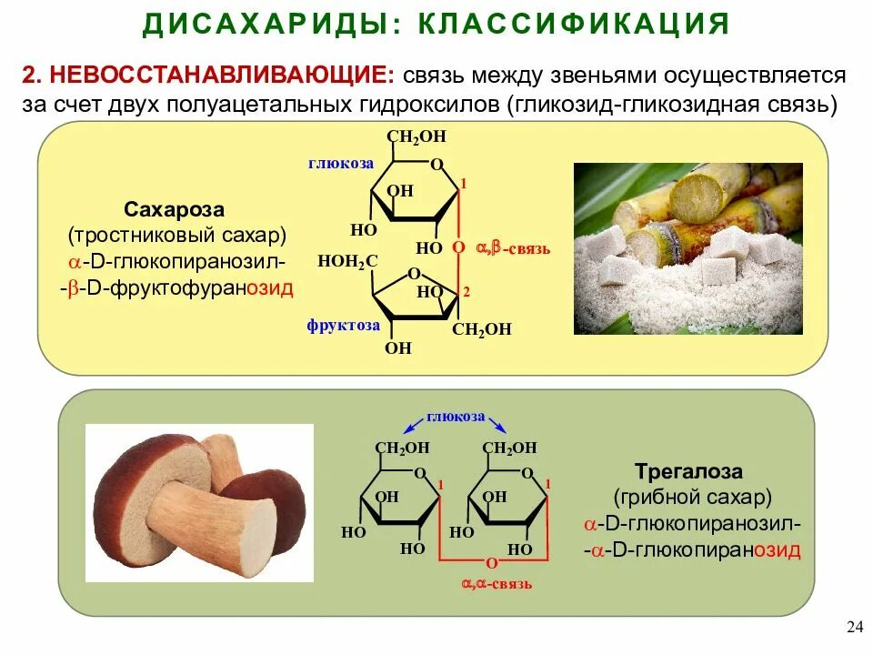 Воз углеводы. Классификация дисахаридов в химии. Классификация дисахаридов восстанавливающие и невосстанавливающие. Восстанавливающие и невосстанавливающие углеводы таблица. Дисахариды: восстанавливающие и невосстанавливающие сахара.