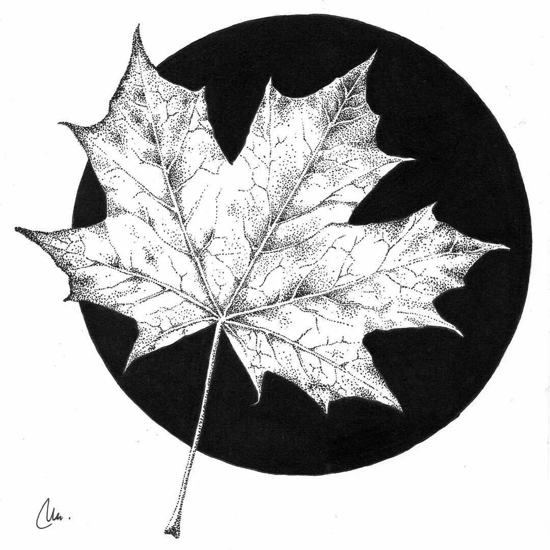 Листья рисунок. Листик эскиз. Листва тату эскиз. Листья эскиз. Листья карандашом.