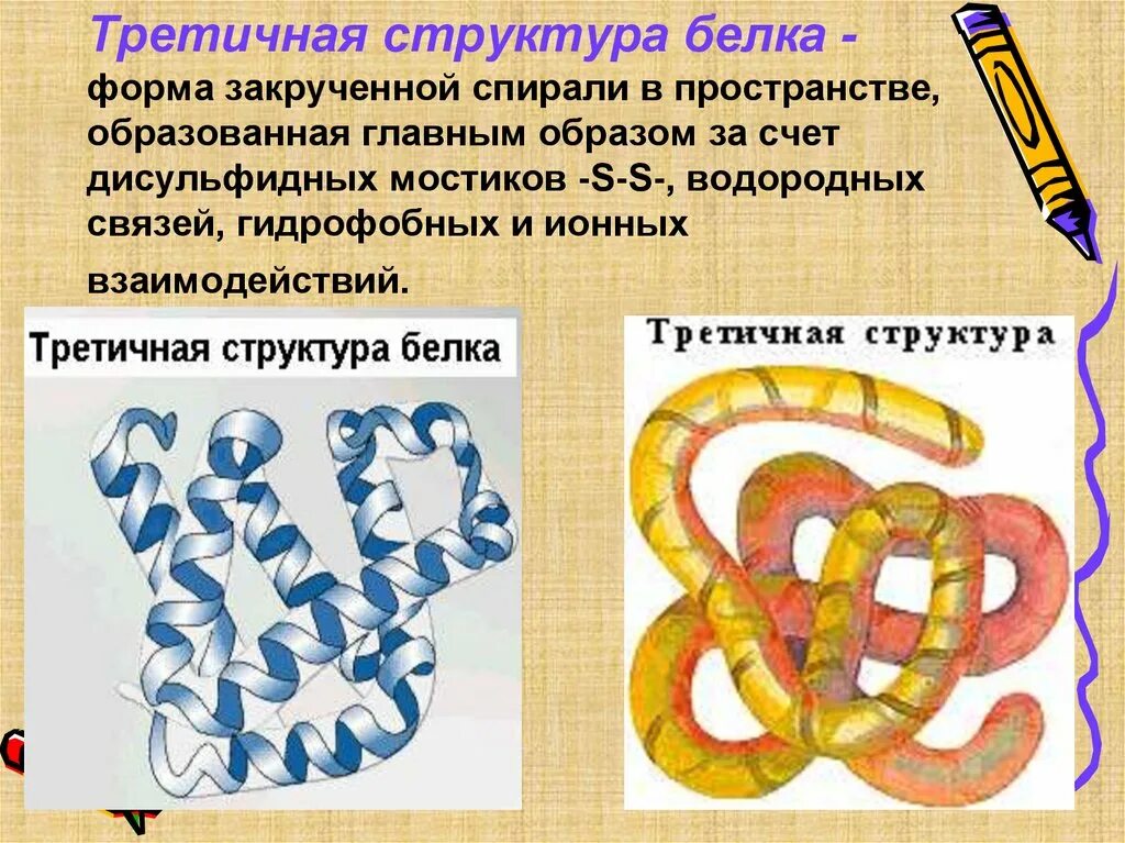 Третичная структура белка данная структура. Третичная структура белка структура белка. Иретичная структура белк. Третичная структура белка. Третичная структура белков.