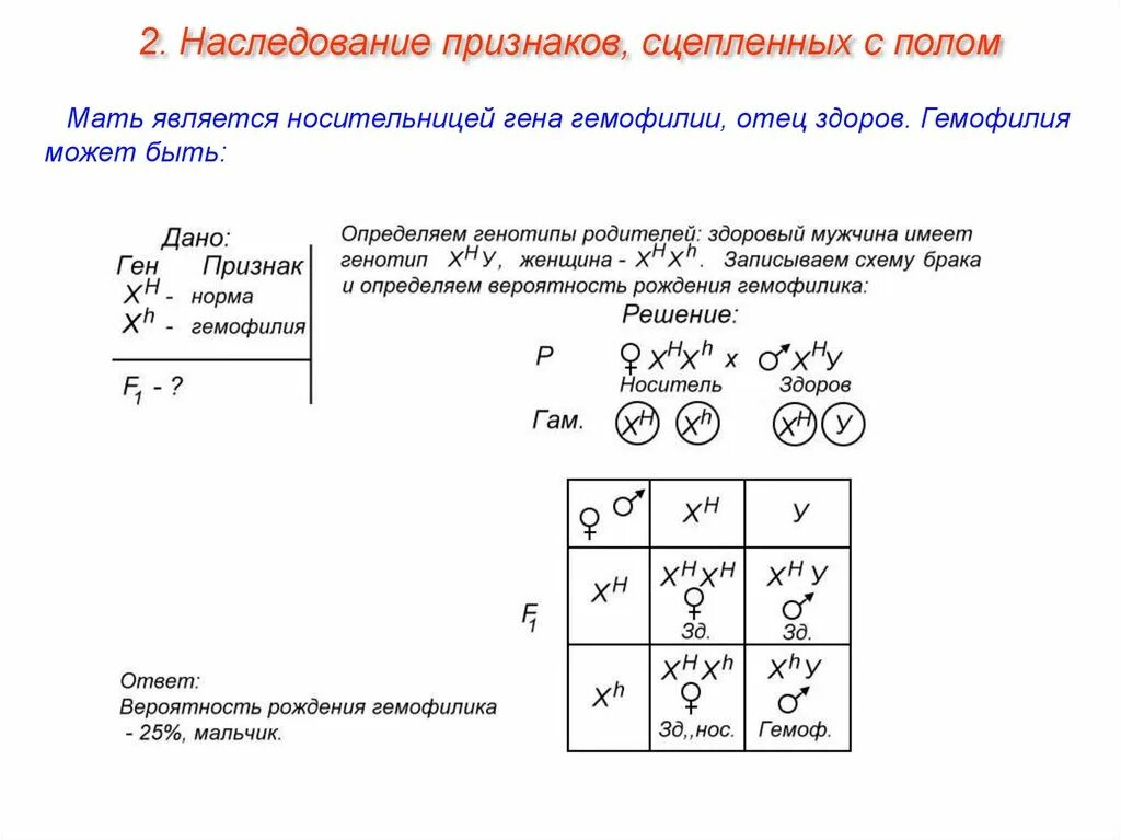 Генотип мужчины страдающего гемофилией. Задачи по генетике на сцепленное с полом наследование с решением. Биология задачи сцепленное с полом наследование. Задачи по генетике сцепленные с полом 9 класс. Сцепленное наследование признаков скрещивание с полом задачи.