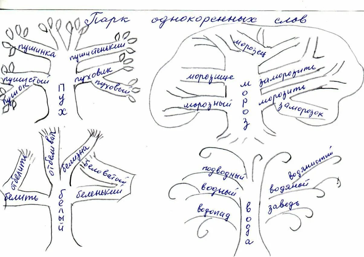 Проект семья слов по русскому языку 3 класс. Проект семья слов 3 класс русский язык. Дерево с однокоренными словами. Дере во с однокореныме словами. Дерево слов 5 класс