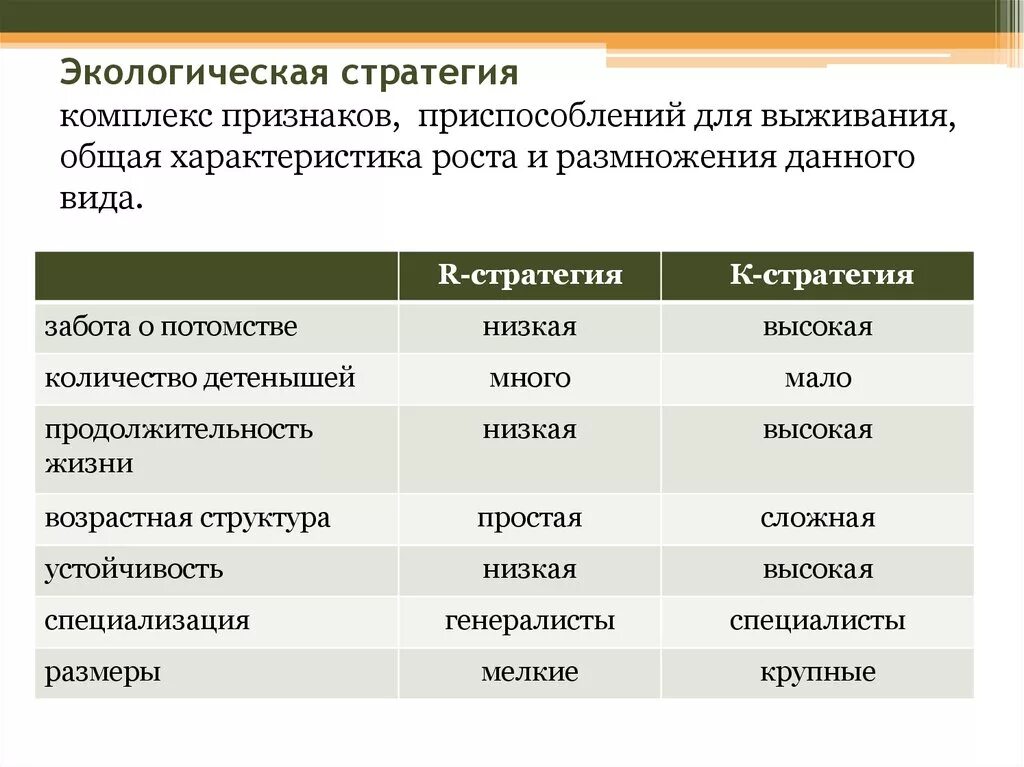 Приспособительные признаки. Приспособительные признаки растений таблица. Ель приспособительные признаки. Семена ели приспособленность