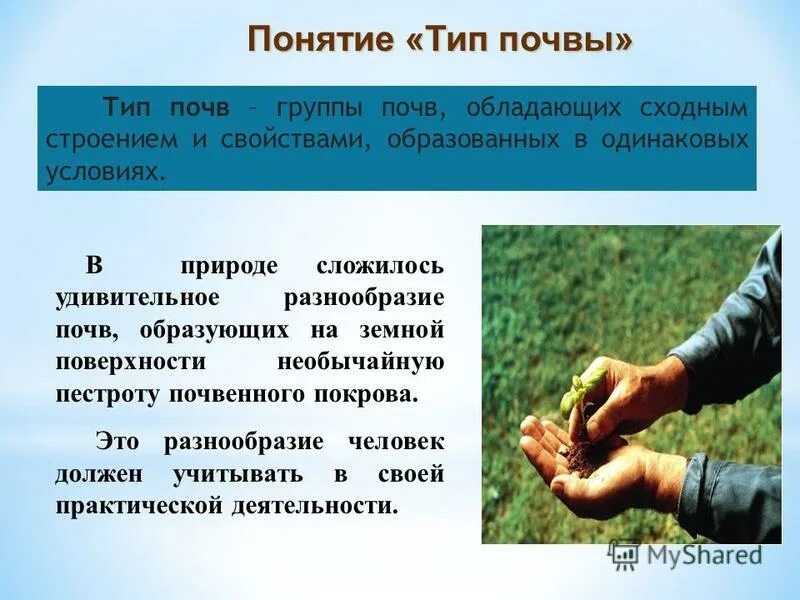 пестрота почвенного покрова и мозаичность. пестрота почвенного покрова определение. почвенно грунтовый покров это. почва образующие факты. пестрота почвенного покрова это.