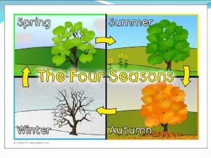 Төрт аяғында жалаңаш арық қыз