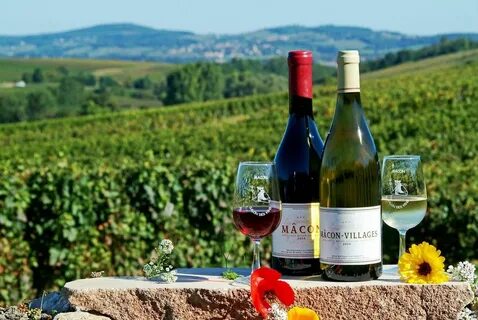 Des vins
