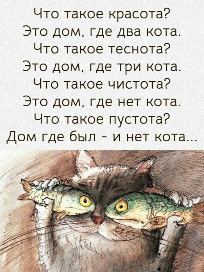 Высказывания о кошках. Фразы о котах. Афоризмы с котиками. Цитаты о котах со смыслом. Цитаты про котов.