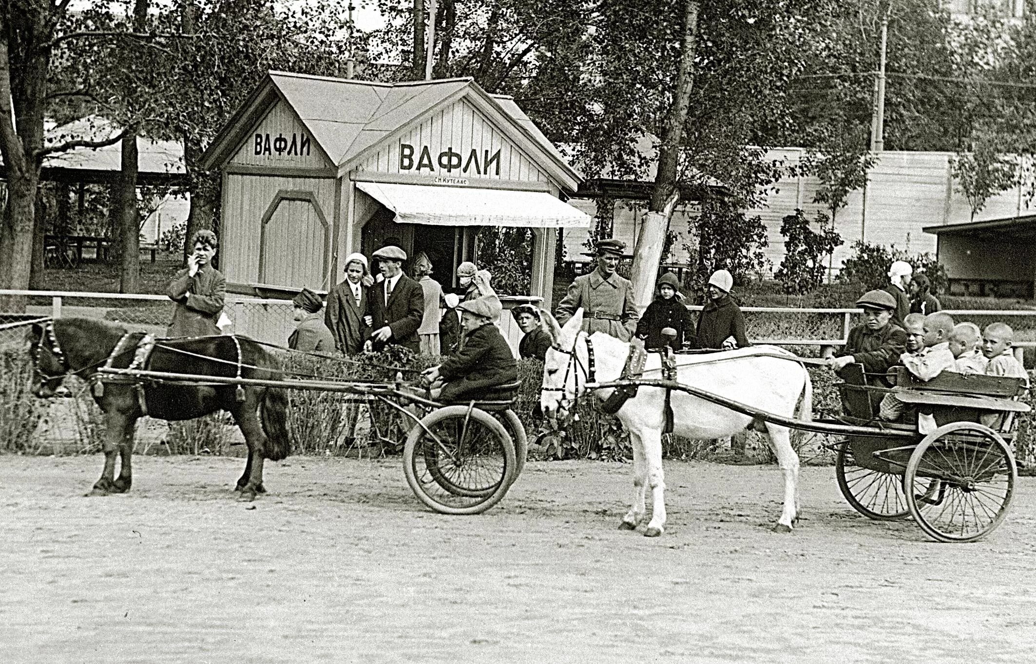 Кем был организован московский зоосад 19 века. Московский зоопарк 1864 года. московский зоосад 1864 год. московский зоосад в 19 веке. московский зоопарк 19 век.