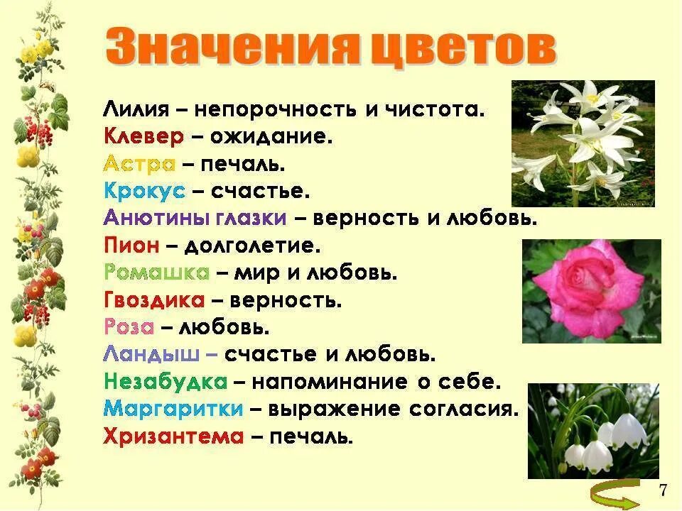 Какие цветы о чем говорят