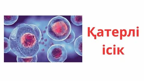 Интернетте ең кішкентай қыздармен порно көру