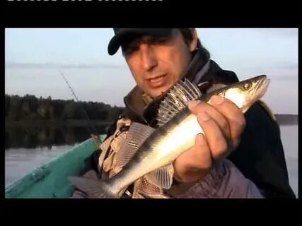 Живу на земле канал о рыбалке