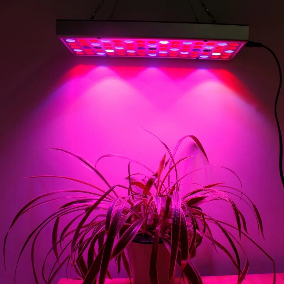 Светильник для фитолампы. Фито светильник для растений. "Полный спектр - 20 ватт". Фитолампа 5rg004. Plant grow Light фитолампа. Лампа led grow Light.
