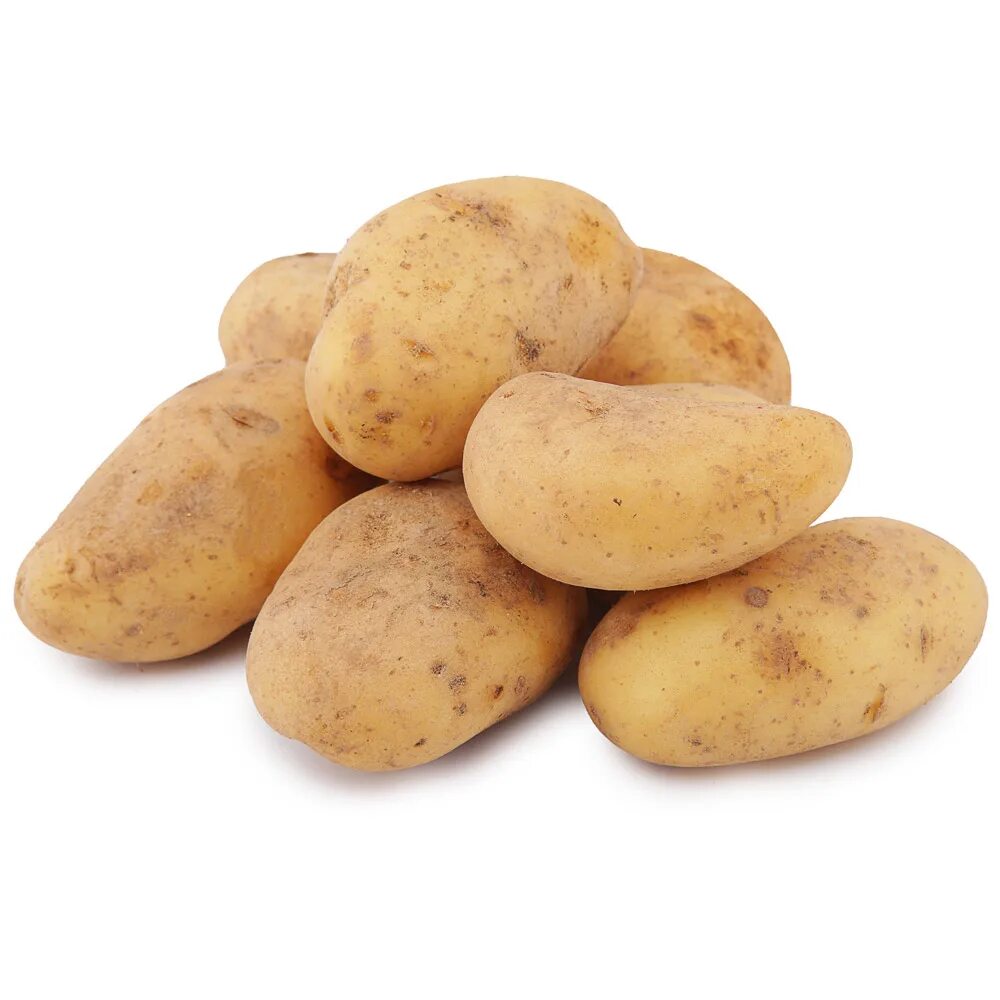 картофель сорт нандина. картофель экселенс. картофель районе. картофель 1кг joy. картофель.