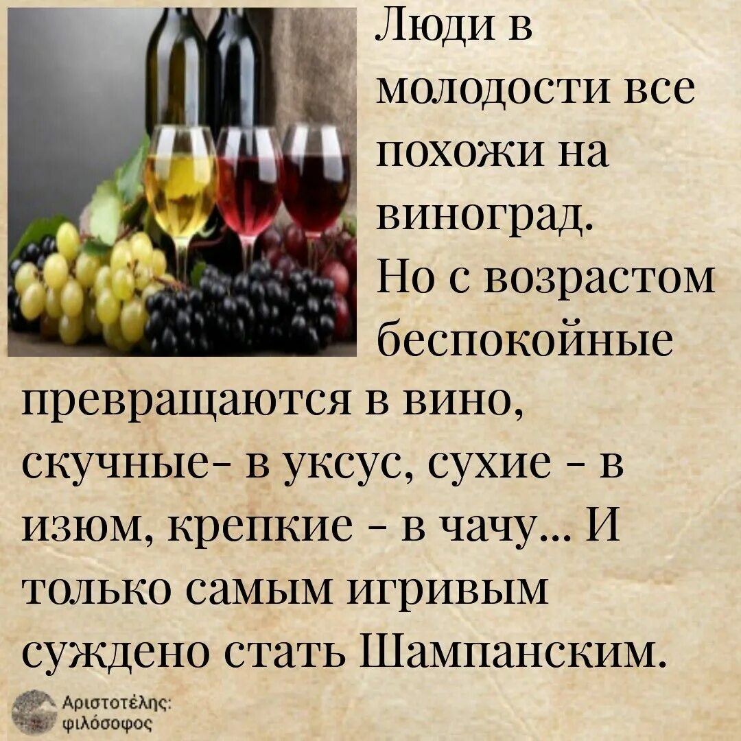 Фразы про вино. Стихи о вине. Стихи о вине и женщине. Красивые высказывания о шампанском. Стихи про вино и женщин.