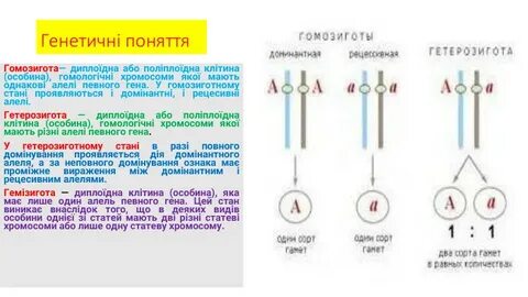 Лаостармен жыныстық қатынас