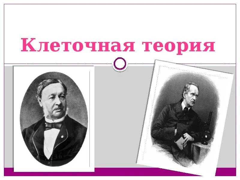 Клеточная теория 1838-1839. Конспект по биологии 9 класс клеточная теория. Клеточная теория строения организмов. Современная клеточная теория. По биологии 9 класс клеточная теория.
