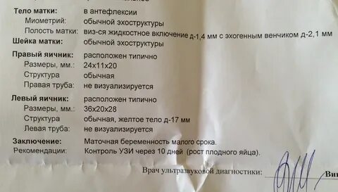 Размеры желтого тела при беременности на ранних