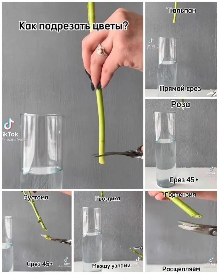 Нужно ли подрезать тюльпаны в вазе. Как срезать цветы. Как подрезать цветы. Как обрезать цветы чтобы дольше стояли. Что сделать чтобы цветы простояли дольше в вазе.