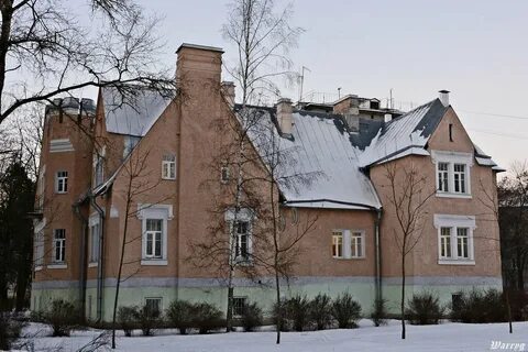 Ленинградский пушкино