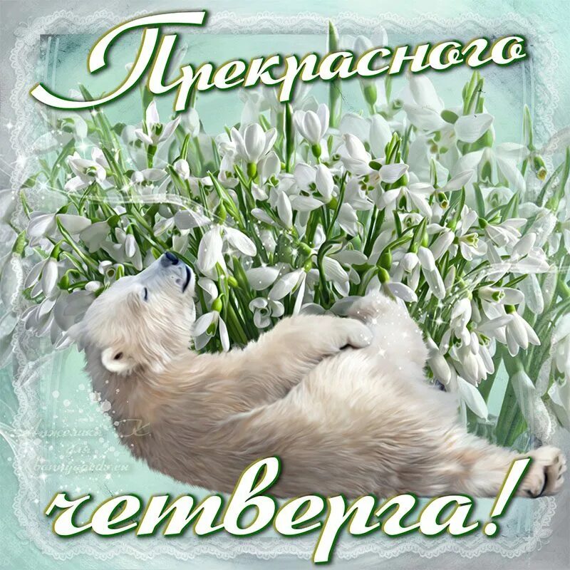 Доброго весеннего дня четверга. Хорошей весны. хорошего весеннего дня. пожелания с добрым весенним утром. прекрасного весеннего дня.