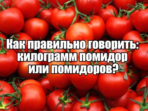 Сказать кг 1. Килограмм помидоров или. Килограмм помидор или килограмм помидоров. Помидор или помидоров. Килограмм томатов или томат.