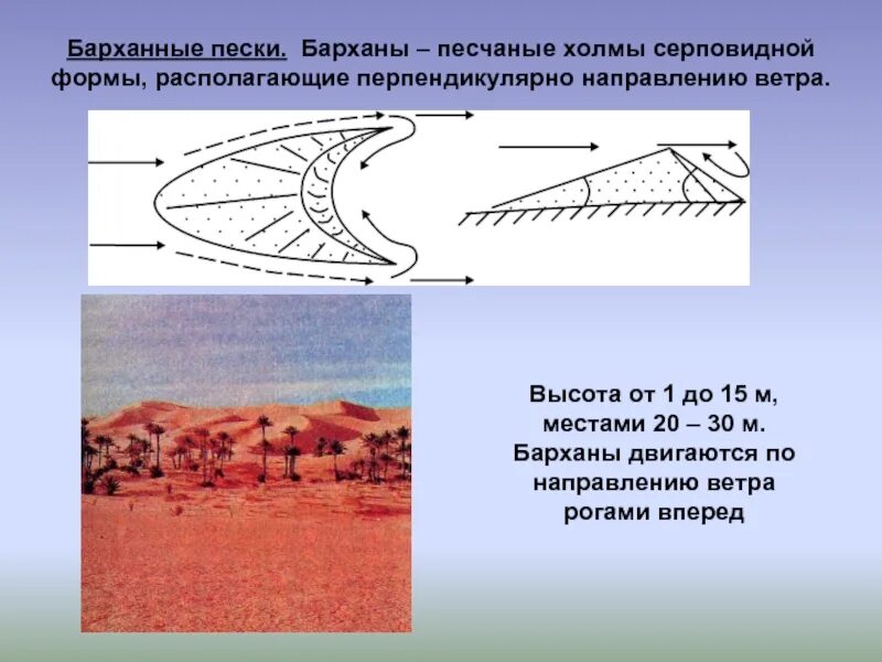 Песчаный холм серповидной формы. Серповидные холмы. Серповидная форма. Перпендикулярно направлению. Перпендикулярно направлению реки