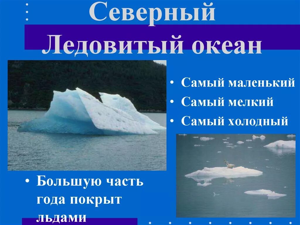 Океан северного ледовитого презентация. Северный Ледовитый океан самый маленький. Северный Ледовитый океан презентация. Северный Ледовитый океан самый маленький и холодный. Проект Ледовитого океана.