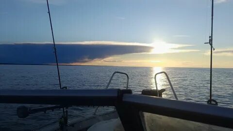 Запрет рыбинское водохранилище