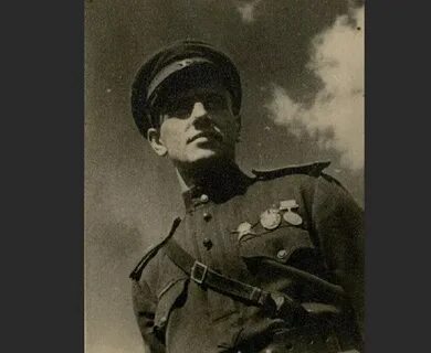 Долматовский котик